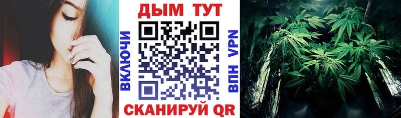 Купить закладки  Углегорск  Бошки марихуана Bruce Banner 